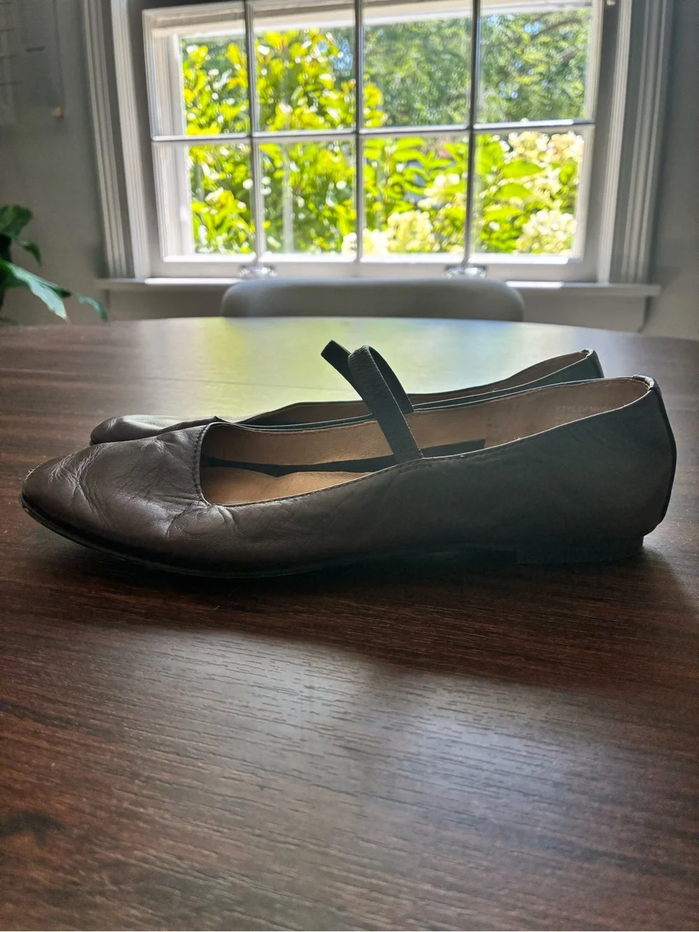 Madewell Chocolate Brown Leather Mary Jane Flats